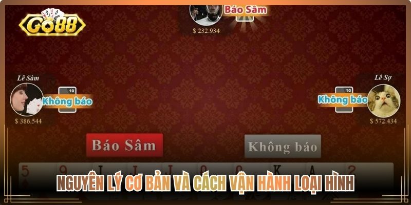 Nguyên lý cơ bản và cách vận hành loại hình
