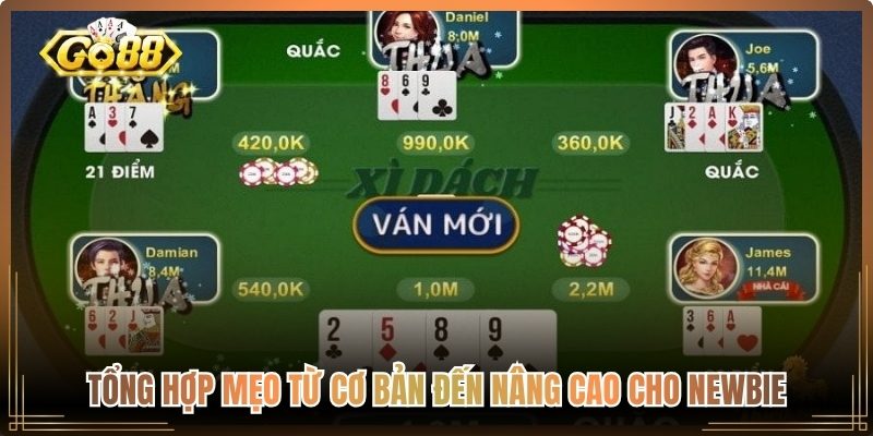 Tổng hợp mẹo từ cơ bản đến nâng cao cho newbie
